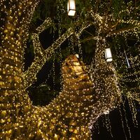 Dekorative Solar-Lichtgirlande für den Außenbereich 100 LED warmweiß