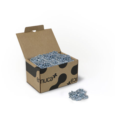 Emuca Lotto di 500 viti, testa piatta Pozidrive, diametro 6,2 mm, 13 mm, Euro, Acciaio, zincato (1/5)