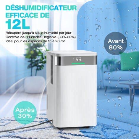 HAUSHOF Déshumidificateur d'Air Electrique 12L/Jour, Déshumidificateur Anti Moisissure Portable Silencieux 38dB, Minuterie 24h, 3 Modes (Automatique, Séchage Continu, Sommeil) pour Chambre, Cave