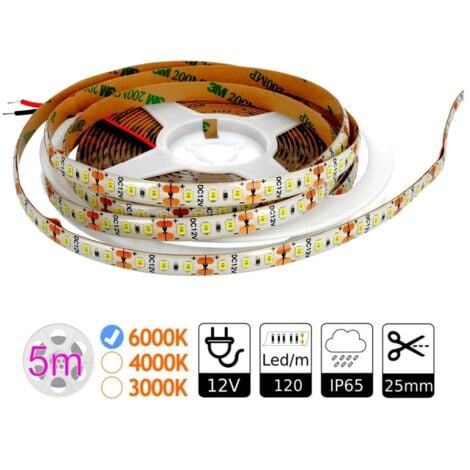 Jandei - Tira LED 12V Blanco Frío 6000K 600LED Bobina 5 Metros IP65 Exterior SMD2835 Base Adhesiva De Alta Calidad 3M. Corte Cada 25 Milímetros.