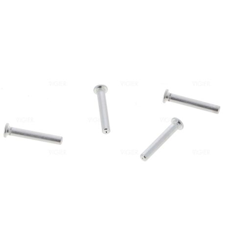 Kit axes de charnières de porte réfrigérateur Liebherr 909621400 Liebherr (1/3)