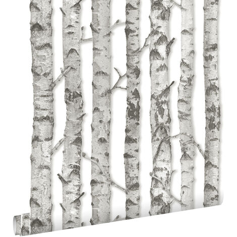 papier peint troncs de bouleau gris chaud clair  - ESTAhome (1/5)