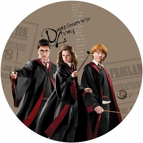 7 rouleaux de papier peint Harry Potter - Harry Potter