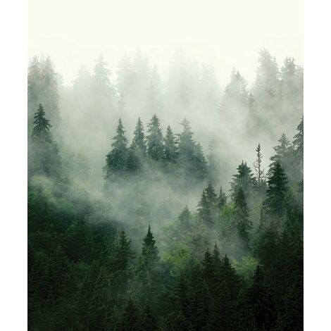 papier peint panoramique montagnes avec des arbres vert - Sanders & Sanders (1/3)