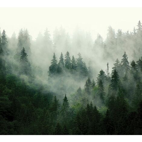 papier peint panoramique montagnes avec des arbres vert - Sanders & Sanders (1/4)