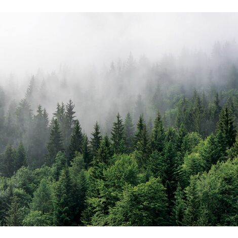 papier peint panoramique montagnes avec des arbres vert - Sanders & Sanders (1/3)