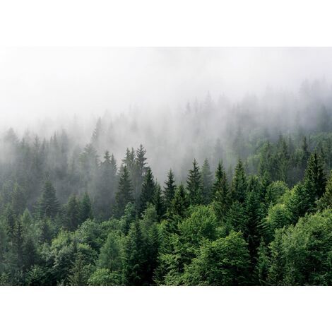 papier peint panoramique montagnes avec des arbres vert - Sanders & Sanders (1/3)