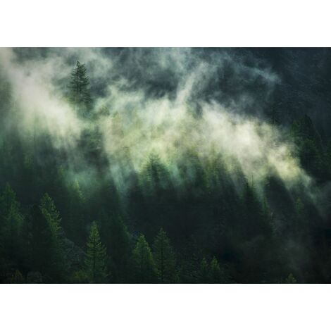 papier peint panoramique forêt brumeuse vert foncé  - Komar (1/3)