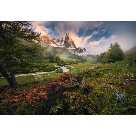 papier peint panoramique paysage boisé vert  - Komar