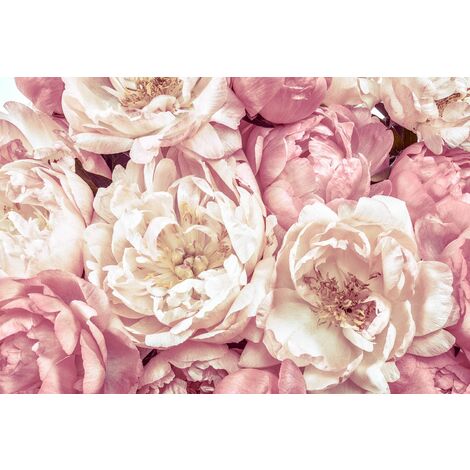 papier peint panoramique Peonies rose - Komar (1/2)