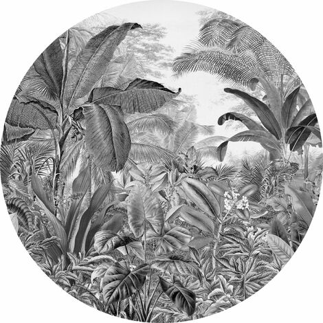 papier peint panoramique rond adhésif Wild Woods noir et blanc - Komar (1/3)