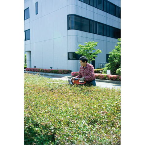 TAILLE-HAIES ÉLECTRIQUE DOLMAR HT365 De Chez Au Prix De 169,00