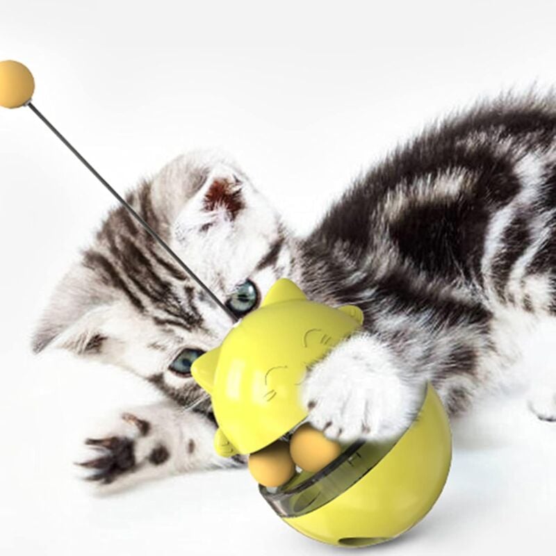 Cat feeding ball best sale