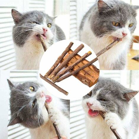 Caroline's Cats Bio Katzenminze Beutel - Nachfüllpackung Für Katzenspielzeug