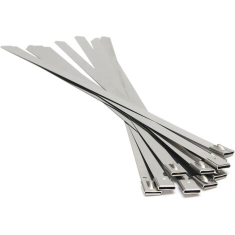 Set di fascette metalliche in acciaio inossidabile, 250 mm, 100