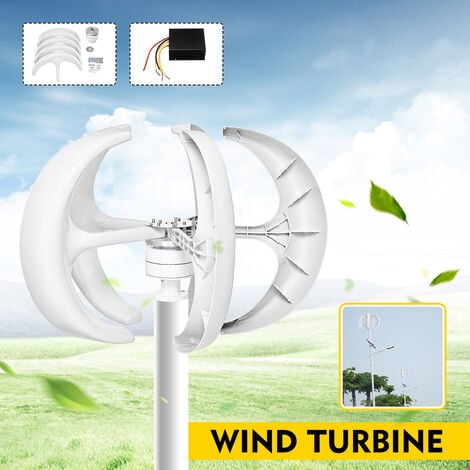 Generatore eolico da 650 W 24 V con regolatore di carica Generatore eolico a turbina a minitipo a 5 lame Kit generatore eolico ad asse verticale Generatore eolico ad asse verticale