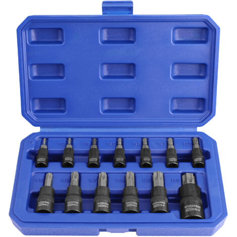 Workpro – Jeu de douilles Torx 13 pièces – Embouts T8-T60 en acier S2 – Douilles en acier chrome vanadium 1/4', 3/8' et 1/2' – Boîte de rangement robuste