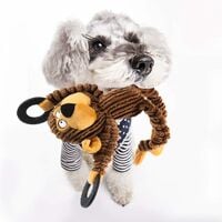 Dog Toy, Plush Sound Toys, Dog Squeak Toys, Non-Stuffed Safe and Non-Toxic Chew Toys, for Medium and Large Dogs