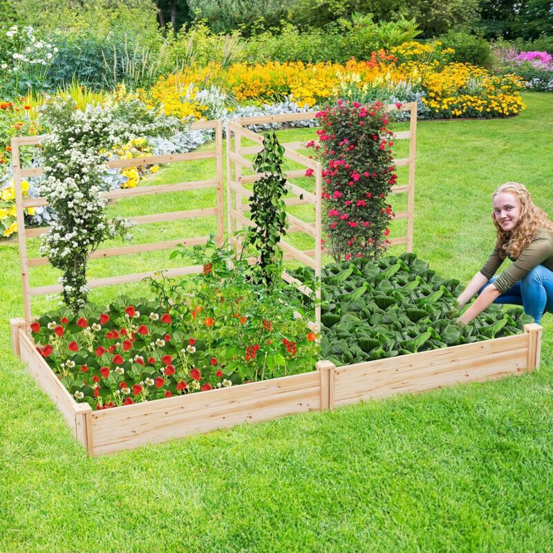 3 piante da giardino ideali per spazi ridotti - Lombarda Flor