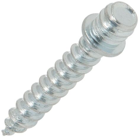 NOS Campagnolo Dropout Screw - New