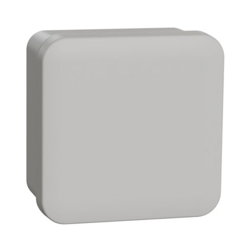 Boîte de dérivation face lisse 80 x 80 x 45 mm en saillie - Schneider Electric (1/4)