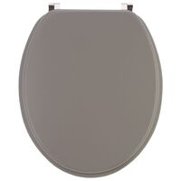 Wirquin – Abattant WC adulte taupe mat – Charnières inox 304 – Haute résistance pour cuvettes standards – 20717957