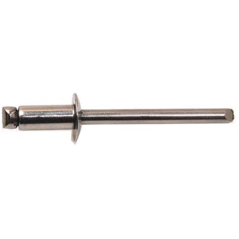 Kit Riveteuse Électrique Pour Perceuse Sans Fil – 500 Rivets + 4 Têtes Interchangeables 2.4-4.8mm