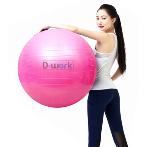 Ballon De Gym D-Work 65 Cm Anti-Éclatement PVC – Fitness, Pilates, Yoga, Grossesse – Bleu