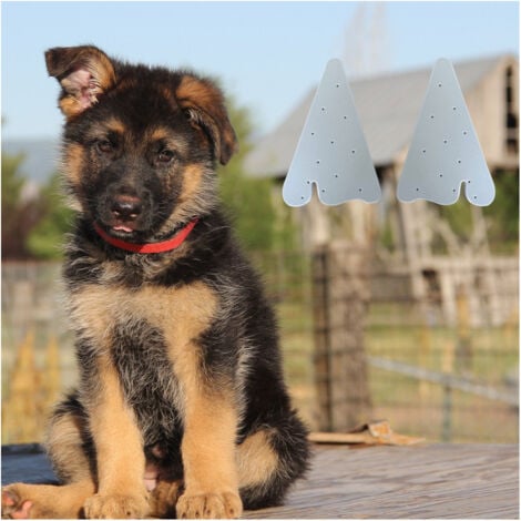 Animood 2 Tuteurs de Redressage d'Oreilles Mousse pour Chien Malinois, Berger Allemand, Doberman - Souples et Confortables, Aide au Maintien des Oreilles Droites - Accessoire Idéal pour Chiens à Grand