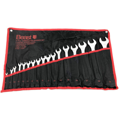 Trousse de 17 Clés Mixtes Expert CV 6 à 32 mm DIN 3113 - 312257 - Beast (1/5)
