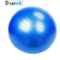 Ballon De Gym 65 Cm + Ballon Pilates 22 Cm – Anti-éclatement, Antidérapant, Avec Pompe – Pour Maison, Salle, Bureau