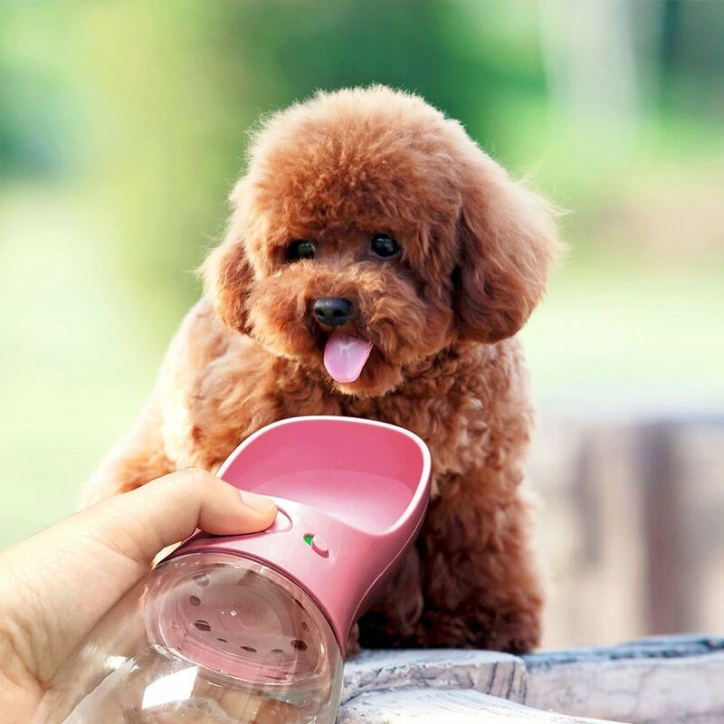 Portable pet water on sale bowl