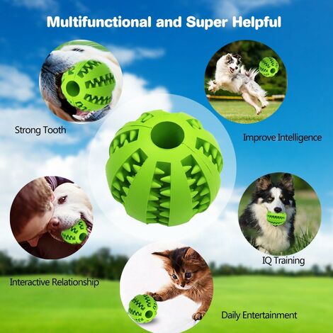 Pet Training Toys - Silicone - Green - Blue - 4 Colors from Apollo Box