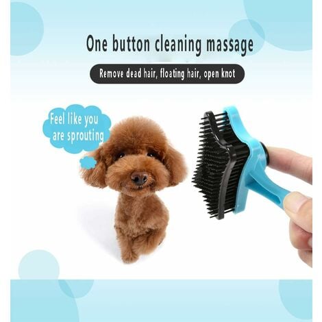 Best brush for teddy bear clearance dog