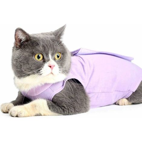 Cat surgical clearance vest