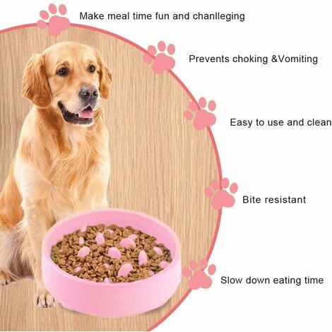 1pc Solid Pet Bowl, Dog Slow Food Bowl, Cats & Dogs No Choking Slow Feeder  Dog Bowls Puzzle Bowl