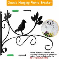 LITZEE Iron plant wall hooks, hanging plant hooks, hanging plant wall bracket Wall mounted plant holder for plant pots, lanterns, wind chimes (birds) (without hanging basket)