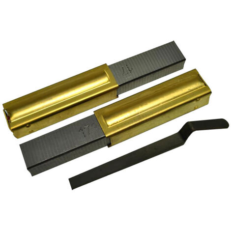Atepac – Lot de 2 charbons pour moteurs Cyclovac ElectroMotor – Performance optimale – Compatibilité 220-240V – Durée de vie prolongée