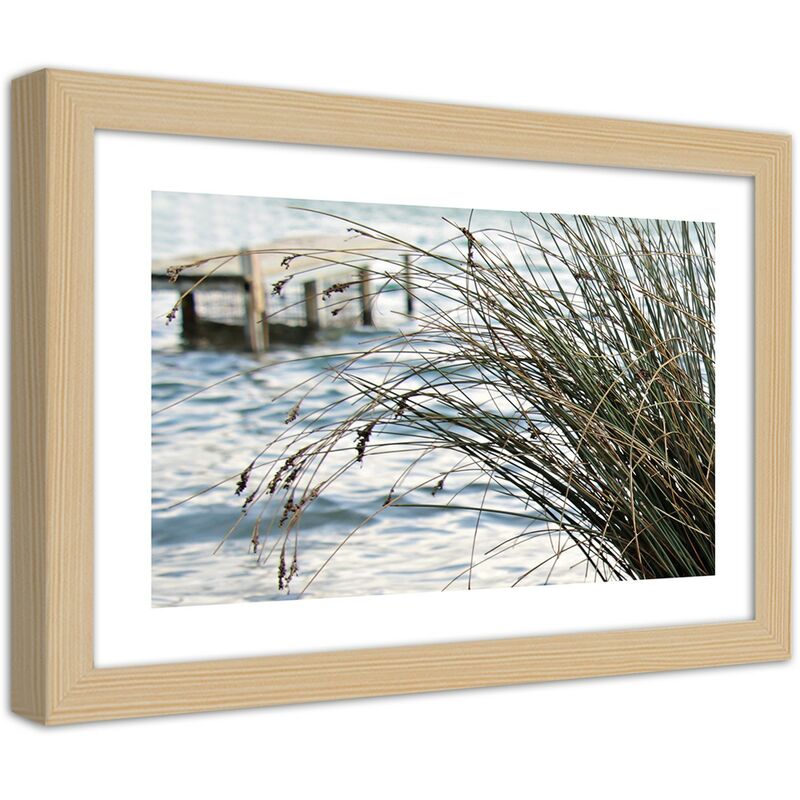 Quadro con cornice, Erbe sulla spiaggia - 60x40