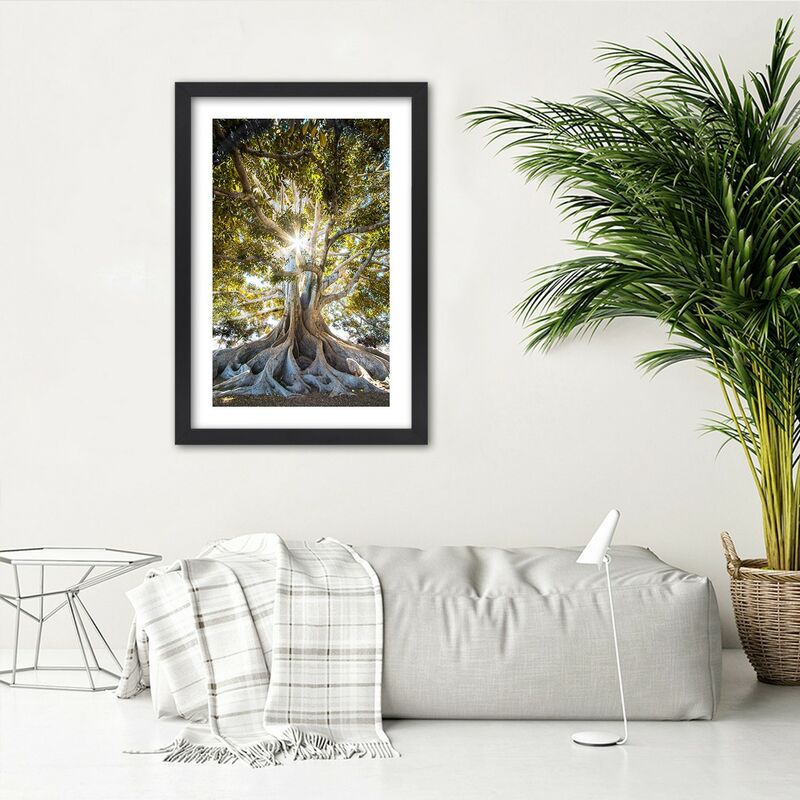 Quadro con cornice, Grande albero esotico - 60x90