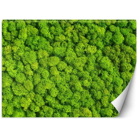 Carta Da Parati, Muschio Natura Texture - 100x70 (1/5)