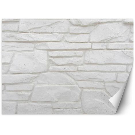 Carta Da Parati Mattoni & Effetto Pietra | Acquista Ora Da 8 - Foto 2