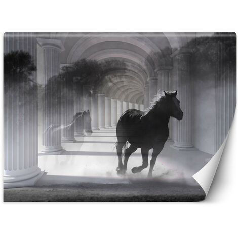Carta Da Parati, Cavallo Tunnel 3D Colonne Grigio - 150x105 (1/5)