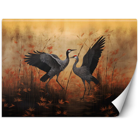 Wallpaper, Crane Nature Birds - 300x210 (1/5)
