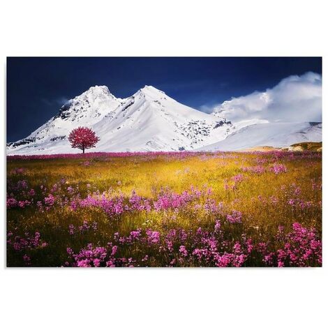 Stampa su tela, Alpi - 60x40 (1/4)