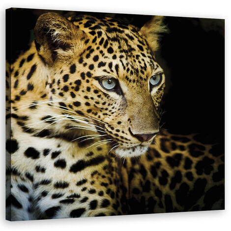 Quadro su tela, Leopardo maestoso - 30x30 (1/5)