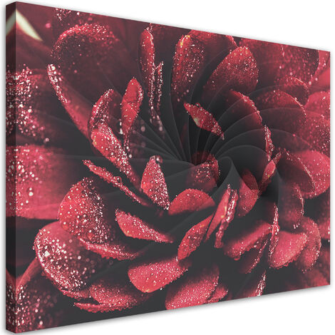 Quadro su tela, Macro fiore - 60x40 (1/4)