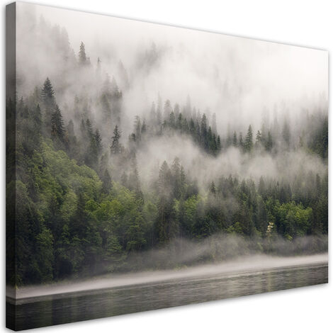 Quadro Su Tela, Lupo Nella Nebbia Foresta Natura - 120x80 - Foto 4