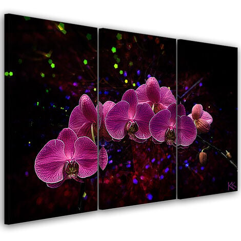 Quadro Su Tela 3 Paneli, Orchidea Su Uno Sfondo Scuro - 60x40