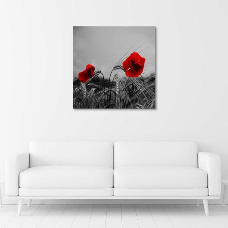 Cuscino Decorativo In Tessuto Tela 45x45 Cm, Con Papaveri, Interno/Esterno, Resistente E Lavabile, Caroline's Treasures